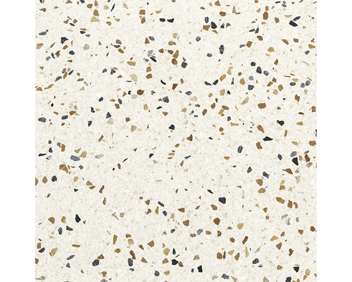 Feinsteinzeug Terrassenplatte Terrazzo Multicolor rektifizierte Kante 60,6 x 60,6 x 2 cm