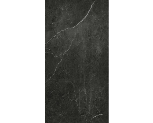 Duschrückwand BREUER Marmor 255 x 150 cm 9482555000204 Dunkle Marmorfliese mit Maserung