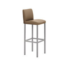 Barhocker mit Sitzfläche und Rückenlehne sowie Metallgestell