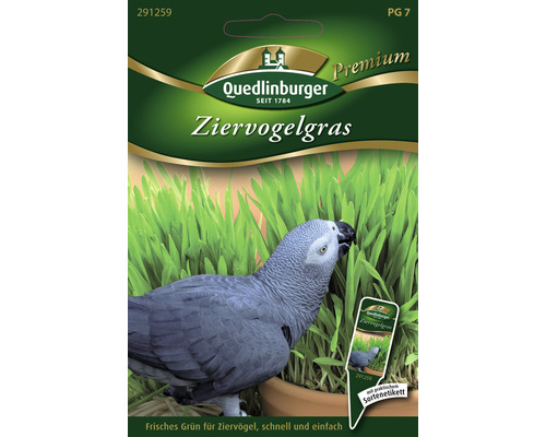 Ziergras Vogelziergras Gründünger 25 g für ca. 10 Töpfe