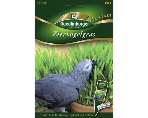 Ziergras Vogelziergras Gründünger 25 g für ca. 10 Töpfe Quedlinburger Ziervogelgras Samenpackung mit Graupapagei
