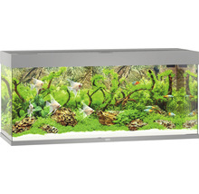 Aquarium Juwel Rio 240 mit LED-Beleuchtung, Pumpe, Filter, Heizer ohne Unterschrank grau-thumb-0