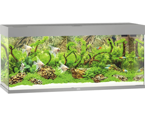 Aquarium Juwel Rio 240 mit LED-Beleuchtung, Pumpe, Filter