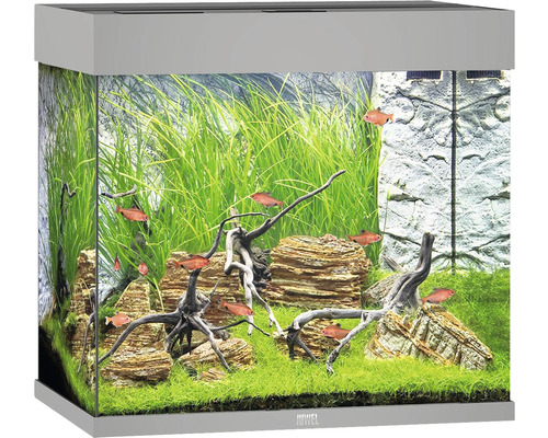 Aquarium Juwel 2024 Lido 120 mit Unterschrank / Weihnachtsgeschenk