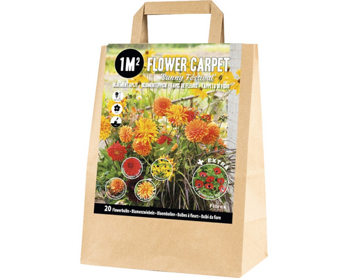 Blumenzwiebel-Mischung Blumenteppich für 1 m2 'Sunny Festival' mit Dahlie, Sonnenhut & Kronenanemone 20 Stk.