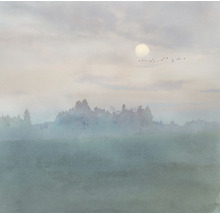 Fototapete Vlies IF2-006 Hazy Hush 2-tlg. 200 x 250 cm