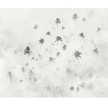 Palmen in dichtem Nebel