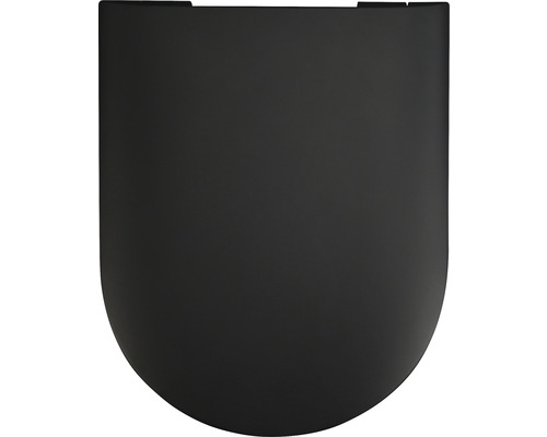 Toilettendeckel aus Kunststoff