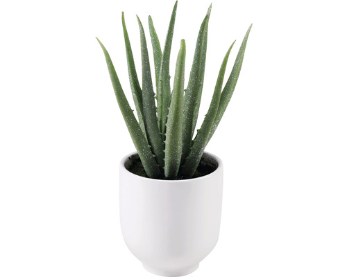 Kunstpflanze im Keramiktopf Lafiora Aloe Vera 25 cm