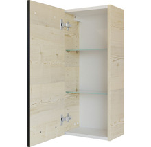 Geöffneter Hängeschrank mit Holztür und Glasböden