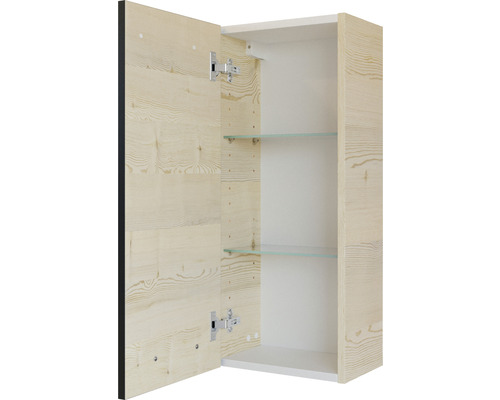 Geöffneter Hängeschrank mit Holztür und Glasböden