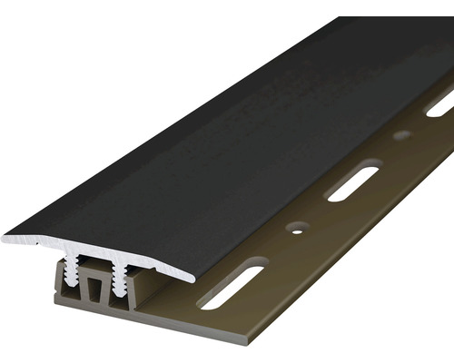 Übergangsprofil Aluminium Schwarz eloxiert 6x27x2700 mm Türdichtungsprofil mit Befestigungsschiene