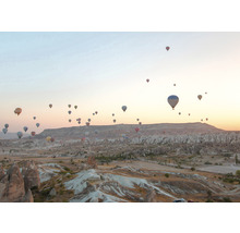 Landschaft mit vielen Heißluftballons am Himmel.