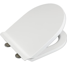 Toilettendeckel aus Kunststoff