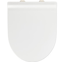 Toilettendeckel aus Kunststoff