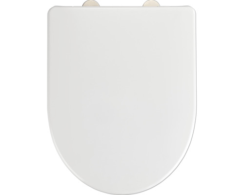 Toilettendeckel aus Kunststoff