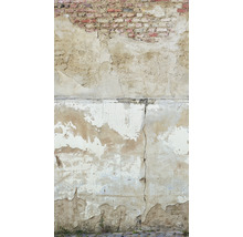 Beschädigte Ziegelwand mit Rissen und abblätterndem Putz.