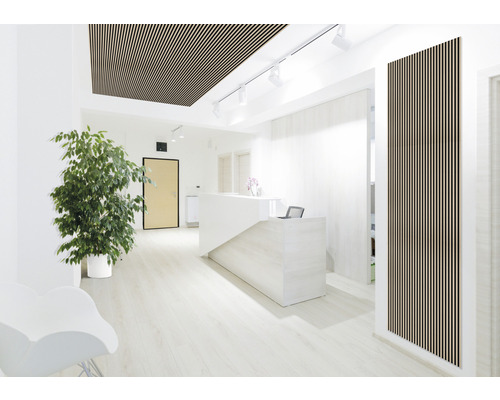 Heller Raum mit Holzlamellendecke und -wandpaneelen, Rezeption und Grünpflanze