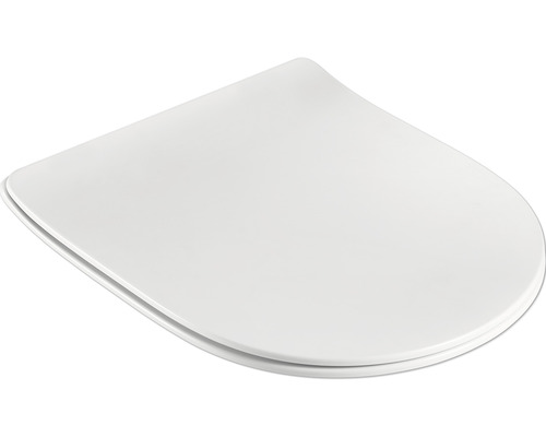 Toilettendeckel aus Kunststoff