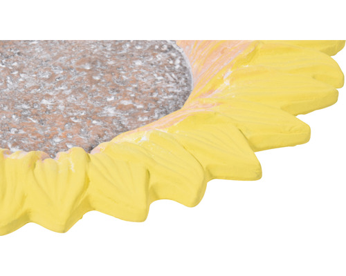 Dekorative Sonnenblume für den Garten