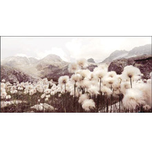 Berglandschaft mit Wollgras im Vordergrund