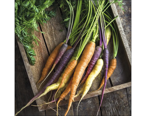 Glasbild Carrots 30x30 cm