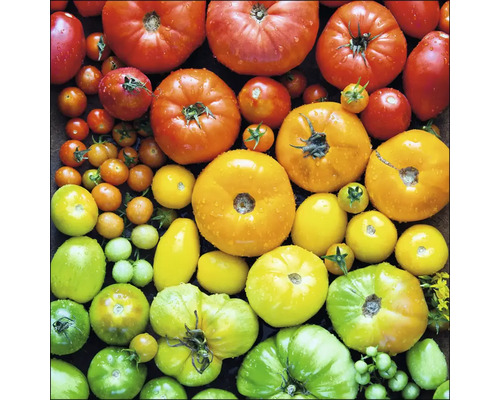 Glasbild Colorful Tomatoes 30x30 cm