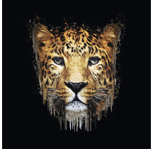 Glasbild Leopard Illustration 30x30 cm