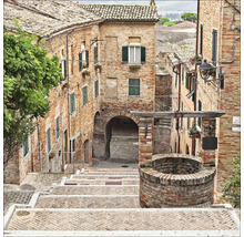 Historische Stadtansicht mit Treppe, Brunnen und Gebäuden aus Ziegelsteinen
