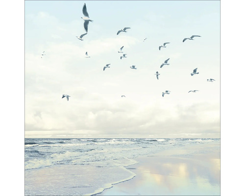 Glasbild Seagulls On The Beach 30x30 cm