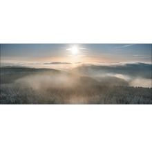 Landschaft mit Wald unter Nebel und Sonne