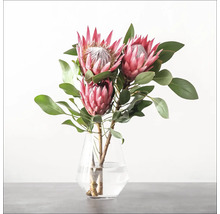 Drei Protea Blumen in Glasvase