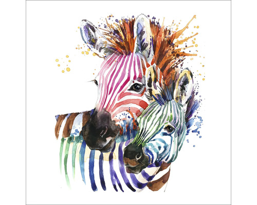 Glasbild Colored Zebra 50x50 cm