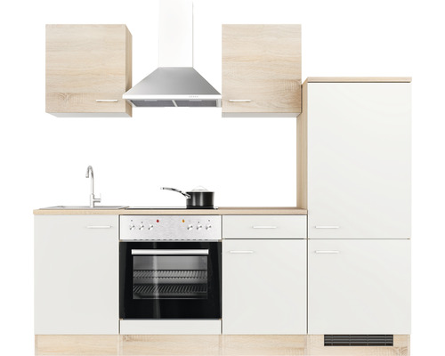 Küchenzeile mit Spüle, Kochfeld, Backofen, Dunstabzugshaube und Schränken