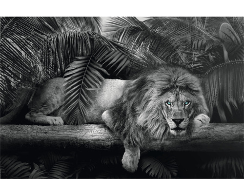 Maxiposter Lion is Watching U 91,5x61 cm | HORNBACH