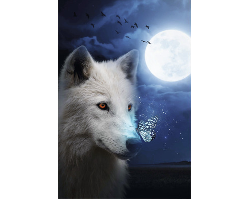 Maxiposter Wolf Moon 61x91,5 cm | HORNBACH
