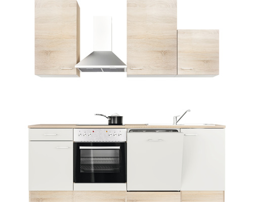 Küchenzeile mit Hängeschränken, Dunstabzugshaube, Herd, Spüle und Geschirrspüler