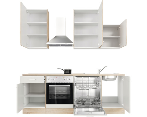Küchenzeile mit Spüle, Geschirrspüler, Herd, Backofen, Dunstabzugshaube und Hängeschränken