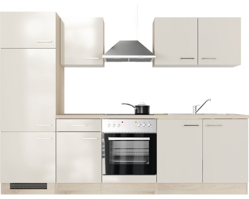 Komplette Küchenzeile mit Spüle, Herd, Ofen, Dunstabzugshaube und Schränken