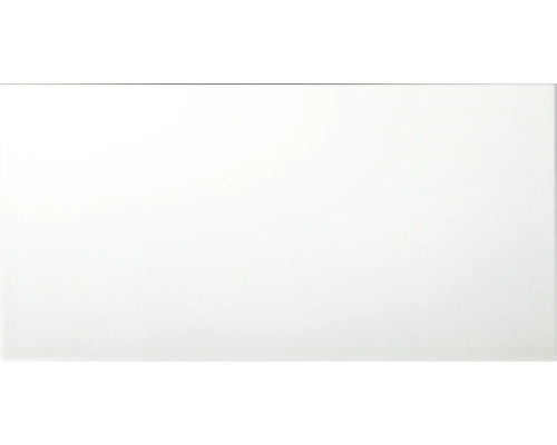 Steingut Wandfliese Glace weiß matt 30 x 60 x 0,73 cm