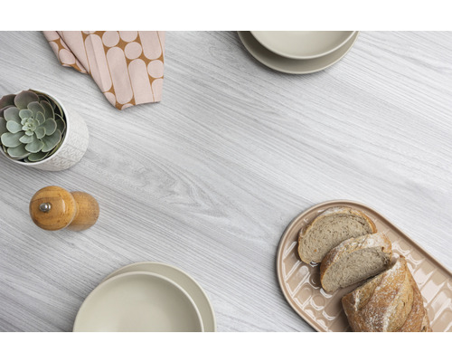 Dekoratives Arrangement mit Geschirr, Brot, Sukkulente und Gewürzmühle auf einer Tischoberfläche.