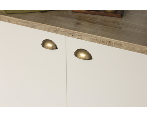 Detailansicht von Schranktüren mit muschelförmigen Griffen