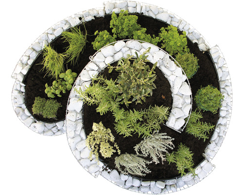 Spiral-Kräuterbeet mit Steinen und verschiedenen Kräutern