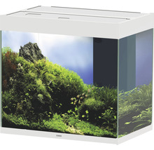 Weißes Aquarium mit Pflanzen, Fischen und Steinen