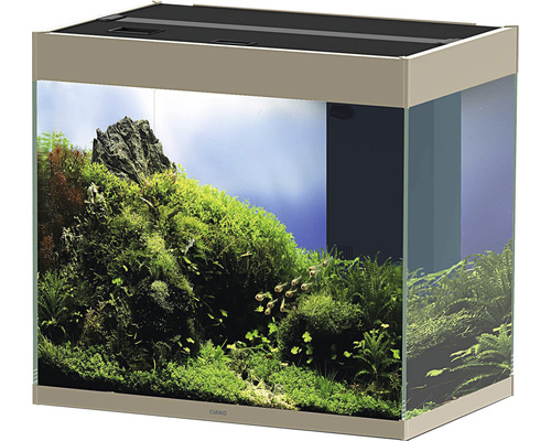 Eingerichtetes Aquarium mit Pflanzen und Steinen