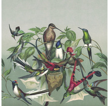 Illustration von Kolibris auf einem Ast