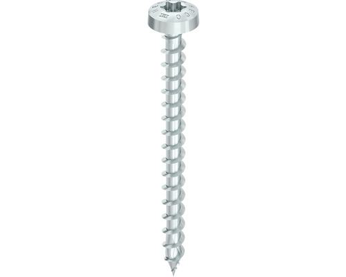 Eine einzelne Schraube mit Torx Antrieb