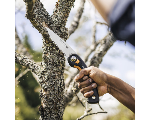 Eine Person sägt mit einer Astsäge einen Baumast ab.