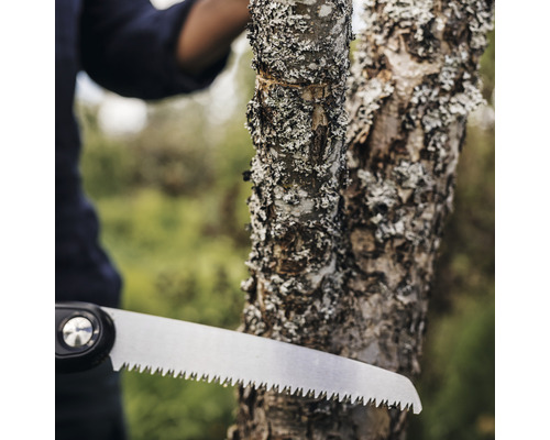Nahaufnahme einer Handsäge beim Sägen eines Astes