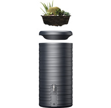 Regentonne mit Pflanzen für den Garten